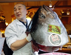 Kimimasa Mayama / EPA. Yes, that's what the head of a 489-pound tuna looks like