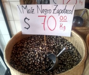 Black Zapotec corn at Molino El Pujol