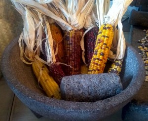 Molcajete and native corn 2