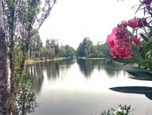 A typical channel in Xochimilco